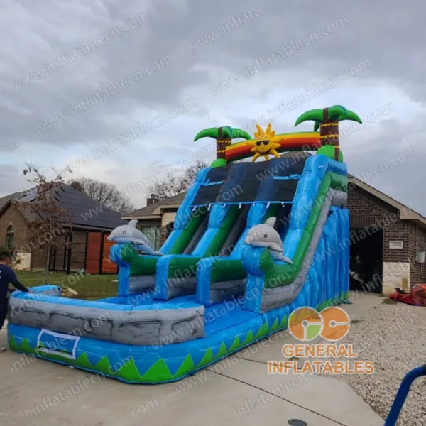 GWS-363 Sunshine Dolphin dual water slide - customer photo from Texas, USA
