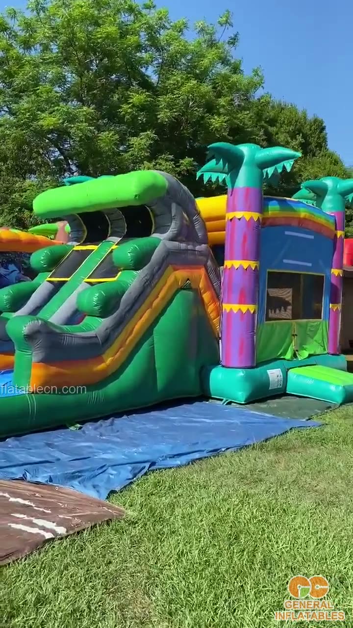 Video de cliente from USA